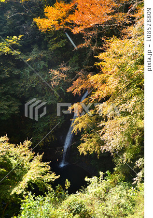 埼玉県皆野町の神秘的な秩父華厳の滝 108528809