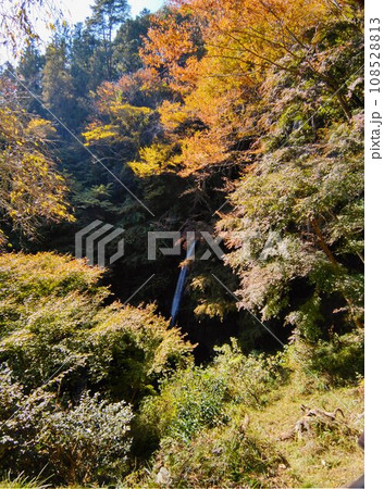 埼玉県皆野町の神秘的な秩父華厳の滝 埼玉県皆野町の神秘的な秩父華厳の滝 108528813