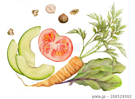 Hand drawn watercolor vegetable and herb mix for diet and healthy lifestyle, salad vegan cooking. Illustration composition isolated on white background. Design for poster, print, website, card, menu 108529502