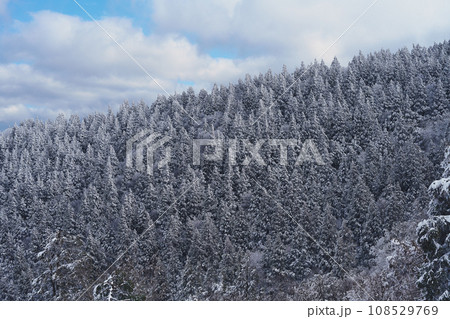 氷ノ山の登山道から見た景色 氷ノ山の登山道から見た景色 108529769