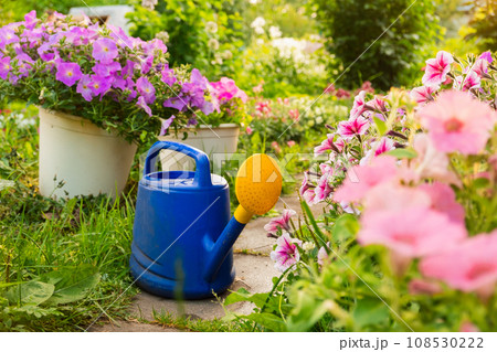 Farm worker gardening tools. Blue plastic watering can for irrigation plants placed in garden with flowers on flowerbed and flowerpot on sunny summer day. Gardening hobby agriculture concept Farm worker gardening tools. Blue plastic watering can for irrigation plants placed in garden with flowers on flowerbed and flowerpot on sunny summer day. Gardening hobby agriculture concept 108530222