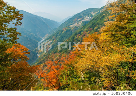 《長野県飯田市・南信州》日本のチロル「下栗の里」の紅葉 《長野県飯田市・南信州》日本のチロル「下栗の里」の紅葉 108530406