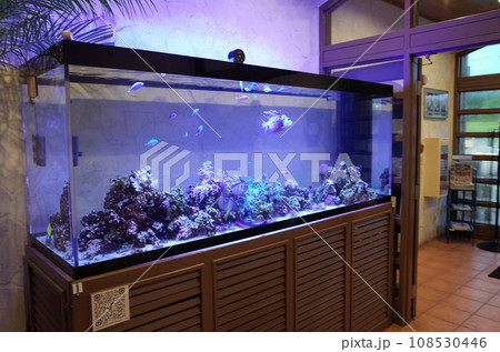 Seaside Restaurantの入り口風景_嘉手納 Seaside Restaurantの入り口風景_嘉手納 108530446