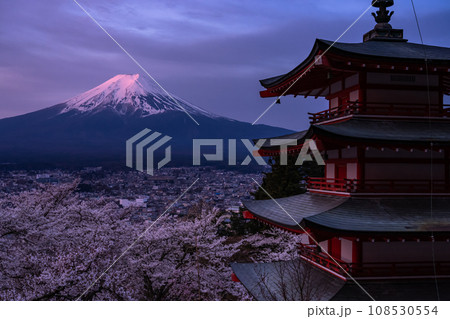 《山梨県》富士山と桜満開の五重の塔・朝焼けの新倉山浅間公園 108530554