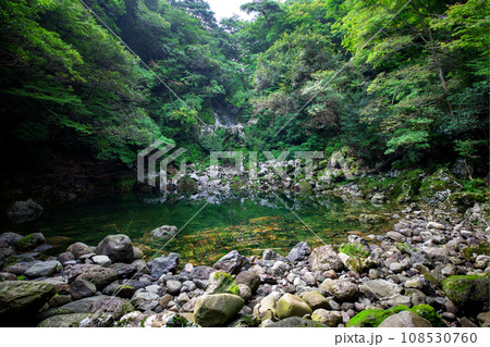 This is a beautiful scenery of Hallasan Valley in Jeju Island, a famous tourist destination in Korea. 108530760