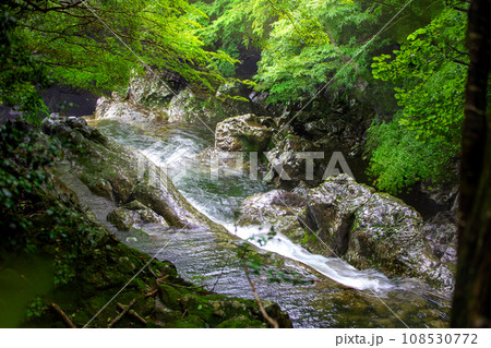 This is a beautiful scenery of Hallasan Valley in Jeju Island, a famous tourist destination in Korea. 108530772