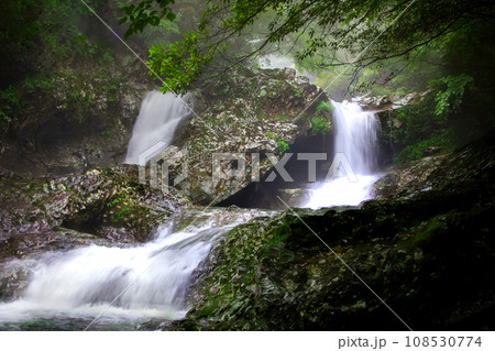 This is a beautiful scenery of Hallasan Valley in Jeju Island, a famous tourist destination in Korea. 108530774