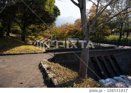 初秋　香川用水記念公園(香川県三豊市) 108531837