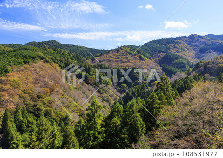 紅葉見頃な世界遺産吉野山 紅葉見頃な世界遺産吉野山 108531977