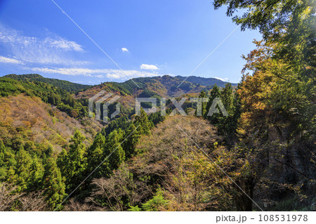 紅葉見頃な世界遺産吉野山 108531978