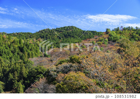 紅葉見頃な世界遺産吉野山 108531982