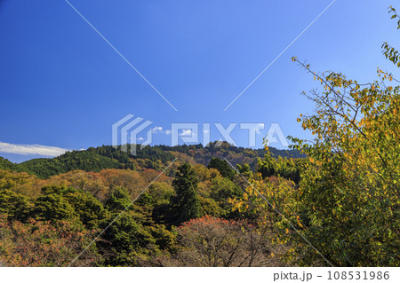 紅葉見頃な世界遺産吉野山 紅葉見頃な世界遺産吉野山 108531986