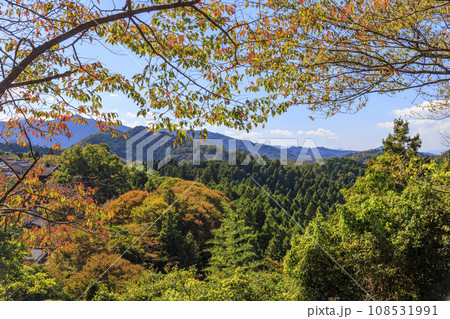 紅葉見頃な世界遺産吉野山 108531991