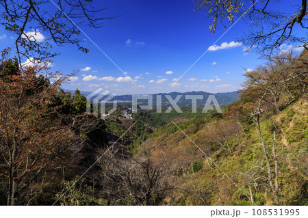 紅葉見頃な世界遺産吉野山 108531995
