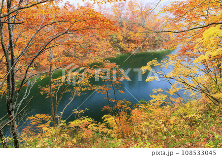 奥只見湖　　秋の紅葉見頃 108533045