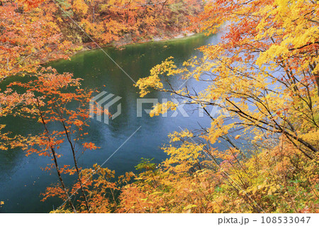 奥只見湖　　秋の紅葉見頃 108533047