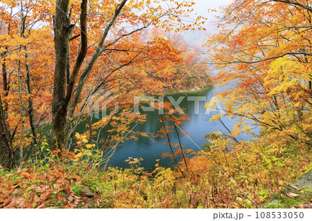 奥只見湖　　秋の紅葉見頃 108533050