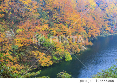 奥只見湖 秋の紅葉見頃 奥只見湖 秋の紅葉見頃 108533066
