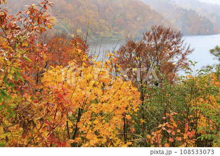 奥只見湖　　秋の紅葉見頃 108533073