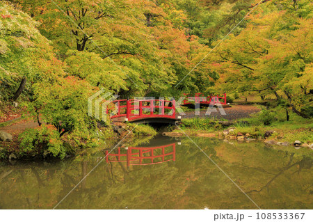 弥彦公園の紅葉 弥彦公園の紅葉 108533367