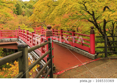 弥彦公園の紅葉 108533369
