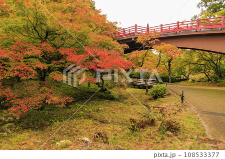 弥彦公園の紅葉 弥彦公園の紅葉 108533377