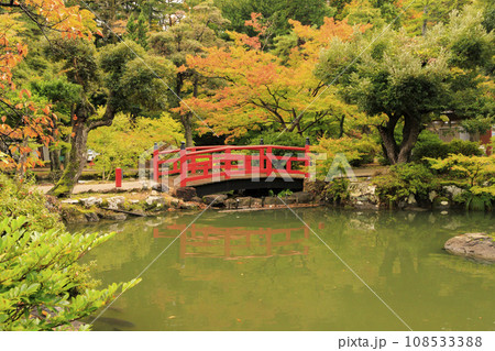 弥彦公園の紅葉 弥彦公園の紅葉 108533388
