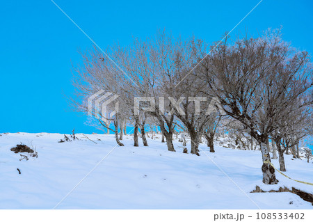 冬山の景色 冬山の景色 108533402