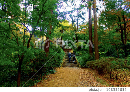 【神奈川】冬の鎌倉　浄智寺の鐘楼門へ向かう参拝客 108533853