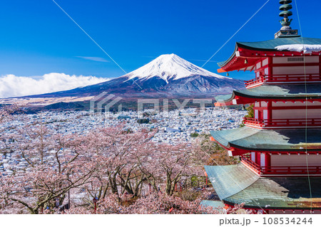 （山梨県）日本の美・桜と雪・新倉山浅間公園の忠霊塔と富士山 108534244