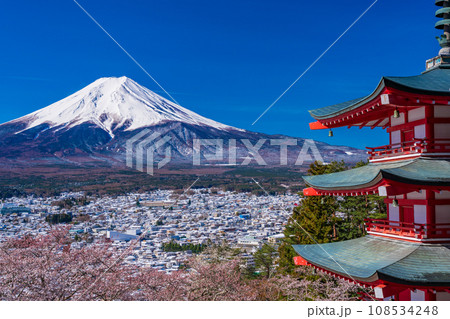 （山梨県）日本の美・桜と雪・新倉山浅間公園の忠霊塔と富士山 108534248