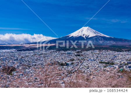(山梨県)桜と雪・新倉山浅間公園から望む富士山 (山梨県)桜と雪・新倉山浅間公園から望む富士山 108534424