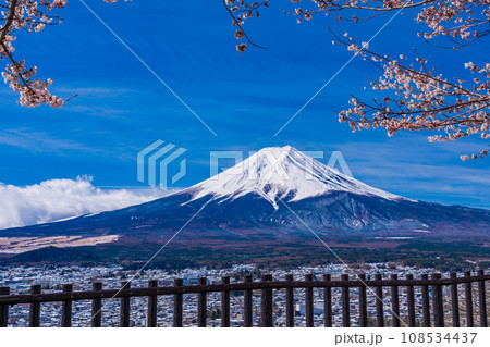 （山梨県）桜と雪・新倉山浅間公園から望む富士山 108534437