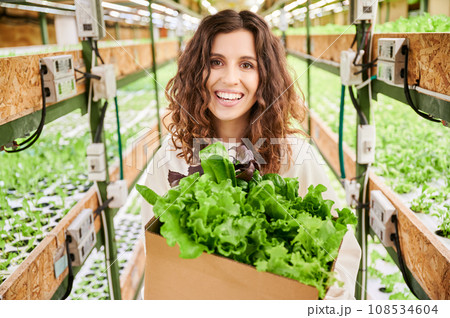 Cheerful female customer looking at camera and smiling while holding cardboard package box with green leafy plants. Woman with packed lettuce standing near shelves with seedlings in greenhouse. 108534604