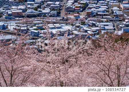 （山梨県）桜満開の新倉山浅間公園から下吉田駅を見下ろす 108534727