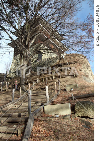 冬の上田城跡公園にて(長野県上田市) 冬の上田城跡公園にて(長野県上田市) 108534836