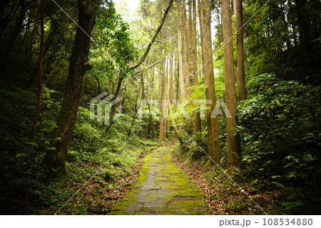 龍門司坂の古道 108534880