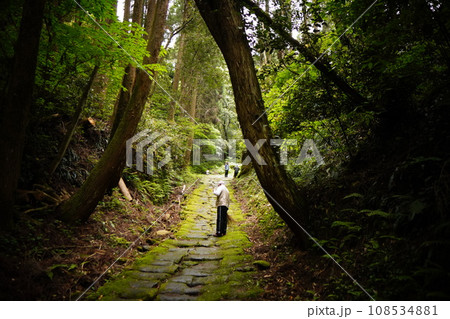 龍門司坂の古道 108534881