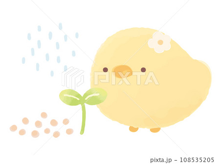 双葉とひよこのイラスト 双葉とひよこのイラスト 108535205