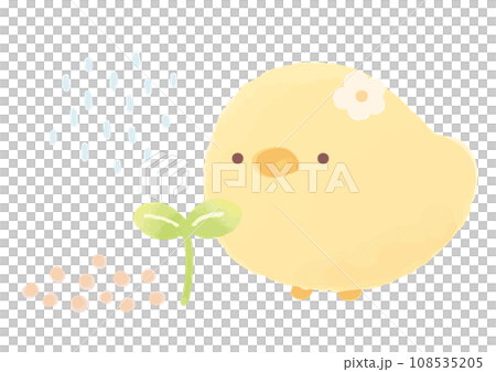双葉とひよこのイラスト 双葉とひよこのイラスト 108535205