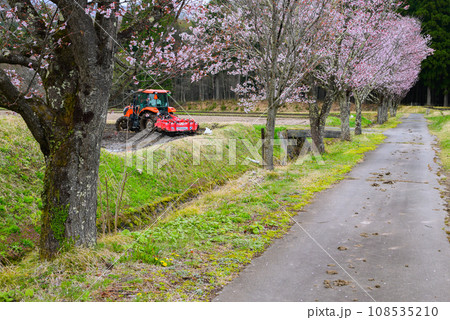 春の田起こしと桜並木【北安曇郡白馬村】 春の田起こしと桜並木【北安曇郡白馬村】 108535210