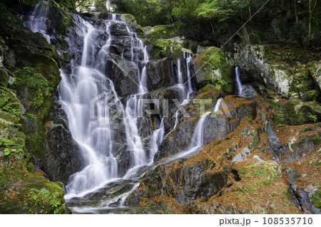 糸島を代表する人気観光地 秋の美しい白糸の滝 (福岡県糸島市) 糸島を代表する人気観光地 秋の美しい白糸の滝 (福岡県糸島市) 108535710