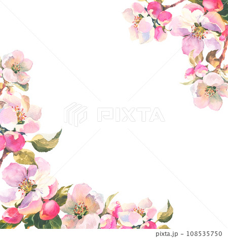 Watercolour illustration, delicate branch of an apple tree with flowers and leaves. Horisontal frame with Spring pink flowers, with empty plase for you text Watercolour illustration, delicate branch of an apple tree with flowers and leaves. Horisontal frame with Spring pink flowers, with empty plase for you text 108535750