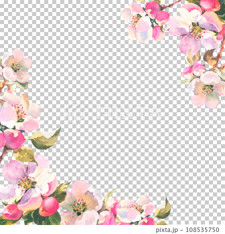 Watercolour illustration, delicate branch of an apple tree with flowers and leaves. Horisontal frame with Spring pink flowers, with empty plase for you text 108535750