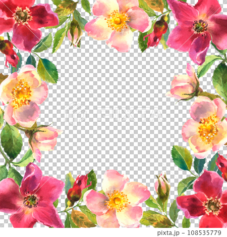 Rosehip Frame. Flowers, leaves and fruits of wild roses. Briar, watercolor painting for decoration. 108535779