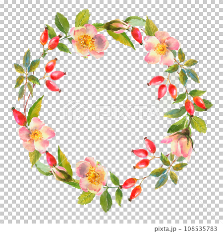 Watercolor rose hip wreath. Flowers, leaves and fruits of wild roses. Briar, watercolor painting for decoration. Watercolor rose hip wreath. Flowers, leaves and fruits of wild roses. Briar, watercolor painting for decoration. 108535783