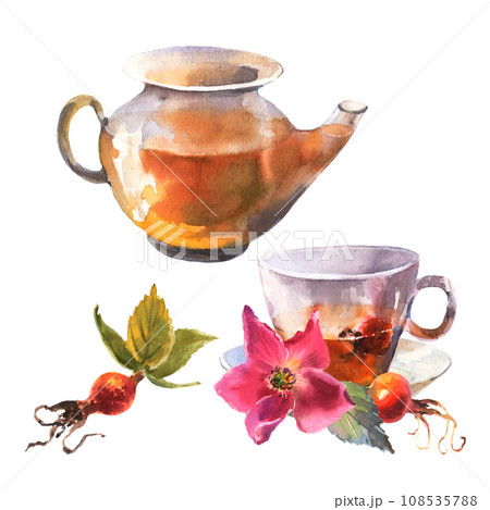 watercolor illustration, teapot and cup decorated with pink dog rose flowers and red berries. 108535788
