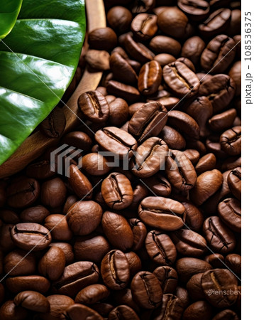 Coffee beans and leaves AI Coffee beans and leaves AI 108536375