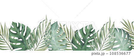 Monstera and palm tropical leaves. Watercolor seamless border with hand drawn illustration. Clipart for packaging design, postcards, prints. Isolated object without background 108536677