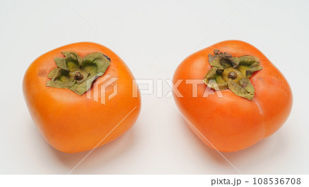 柿 108536708